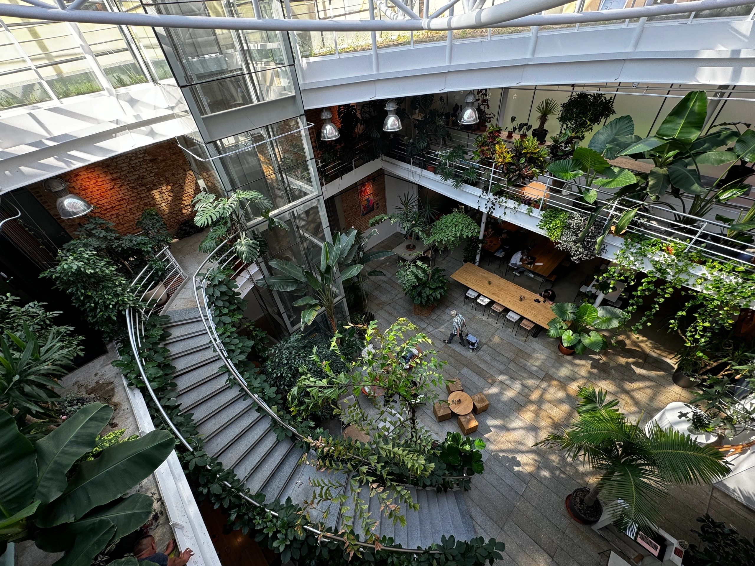 A detailed view of plants inside Jungle Prague