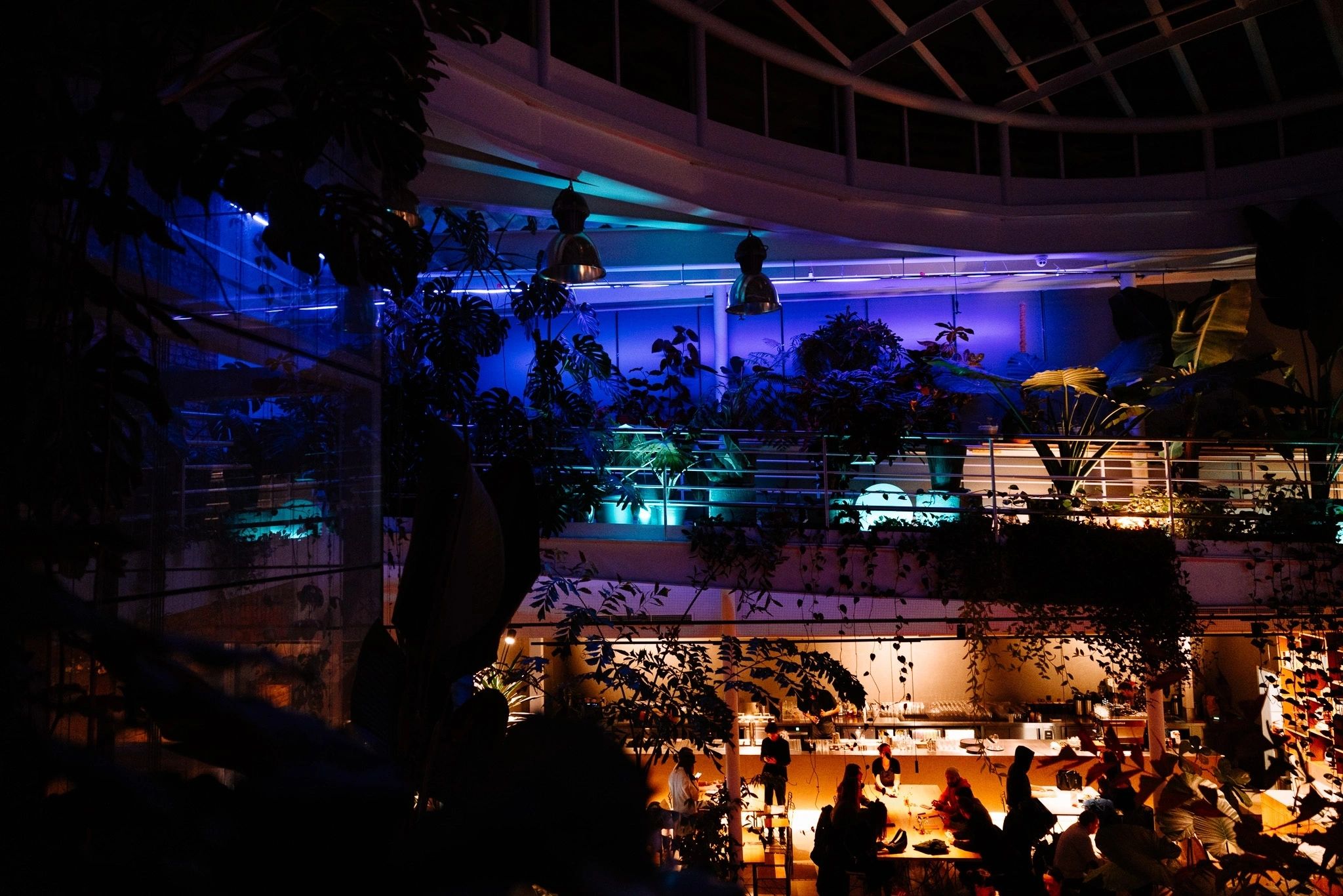 Guests dining beneath tropical plants and evening lights at Mazel