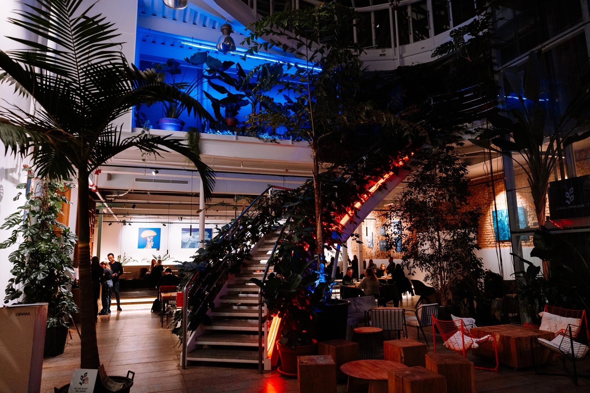 The plant-filled Mazel dining room after dark