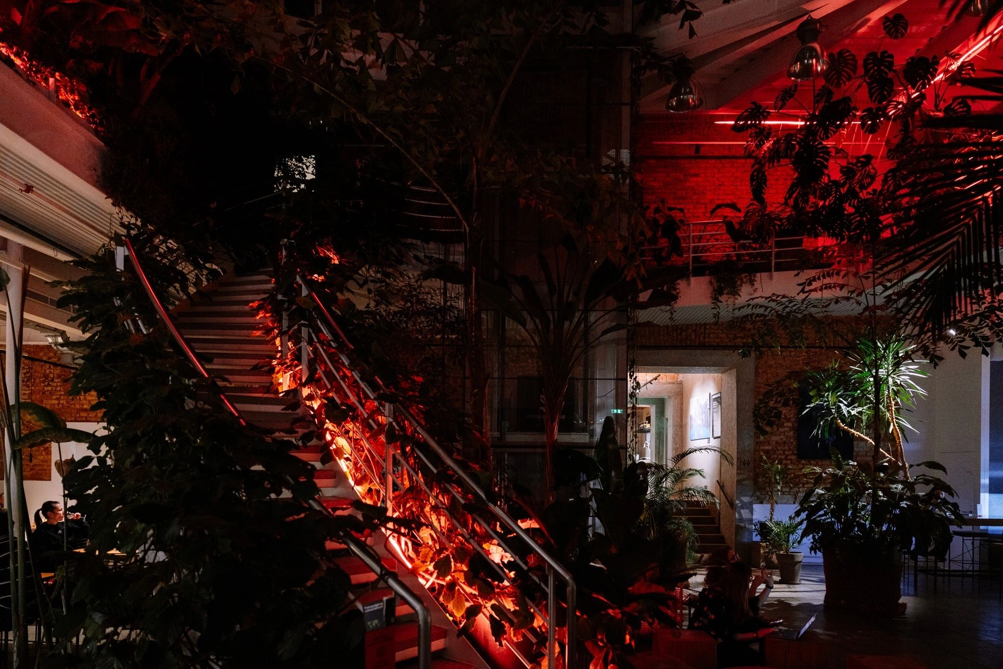 Jungle Prague atmosphere photograph 1