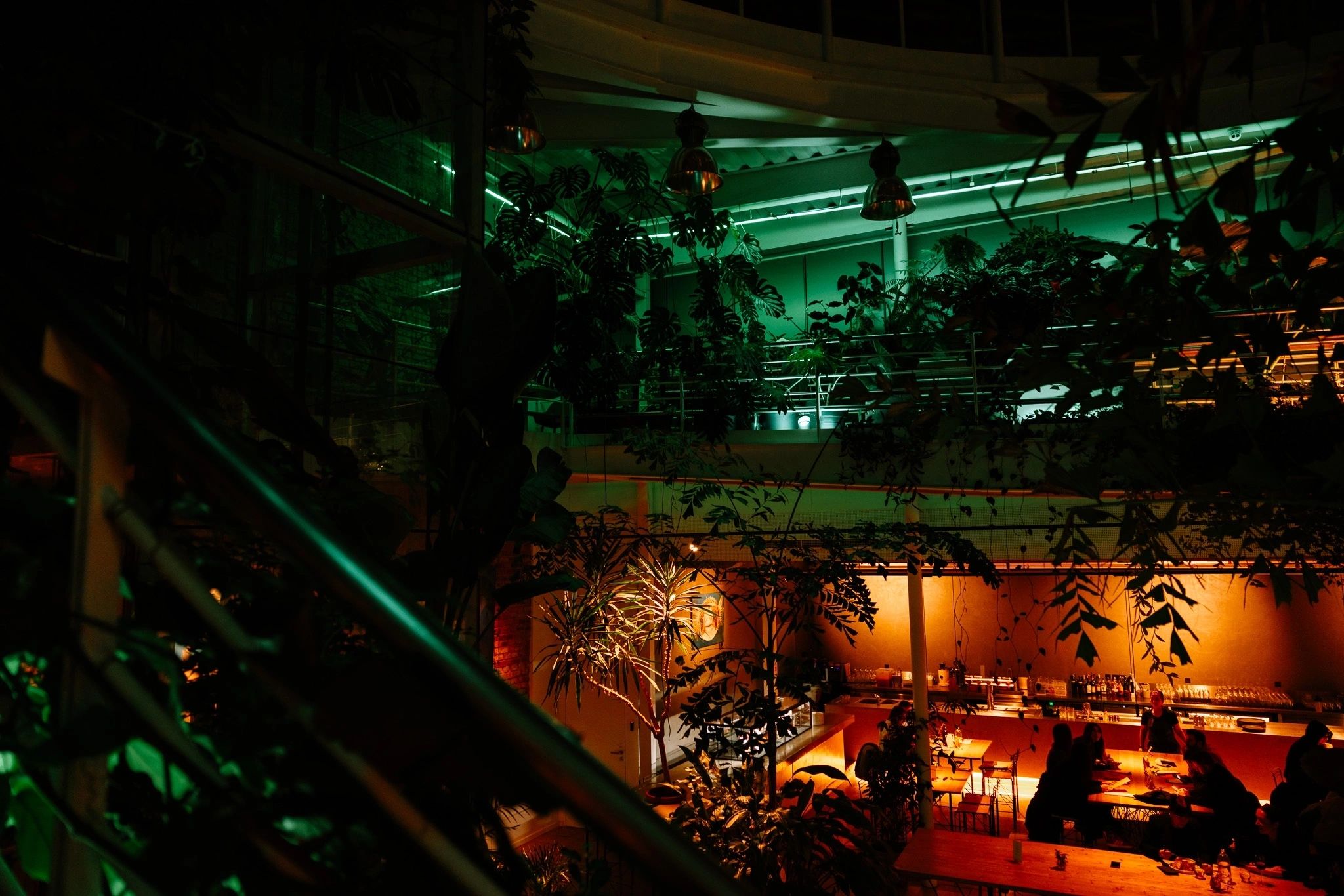 Jungle Prague atmosphere photograph 2