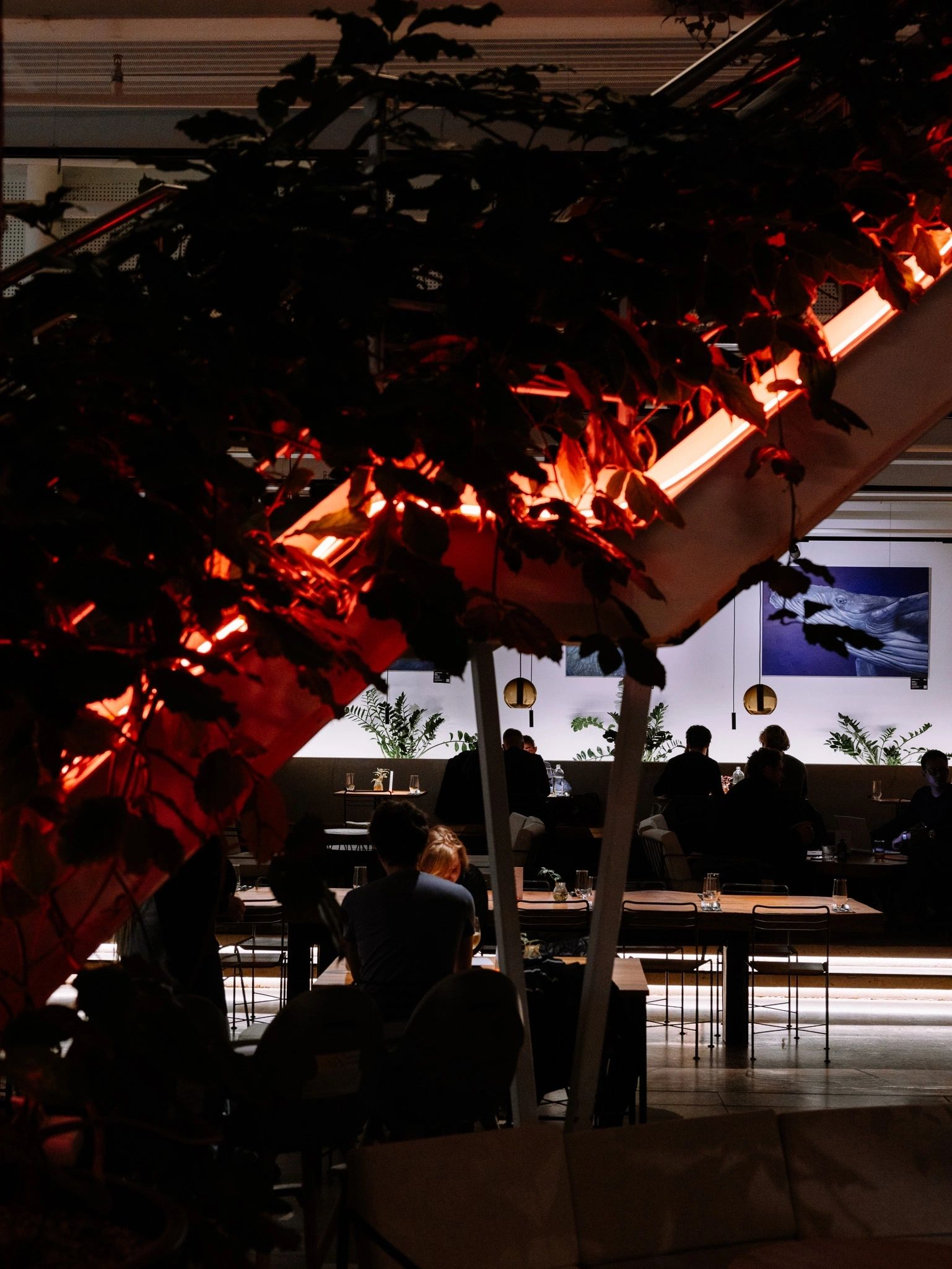Jungle Prague atmosphere photograph 3