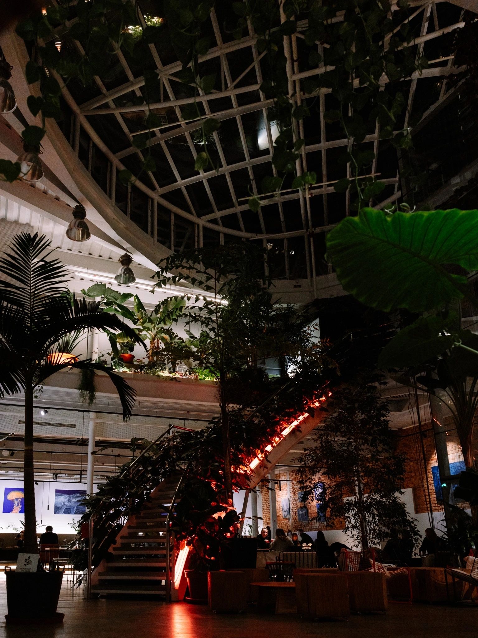 Jungle Prague atmosphere photograph 4