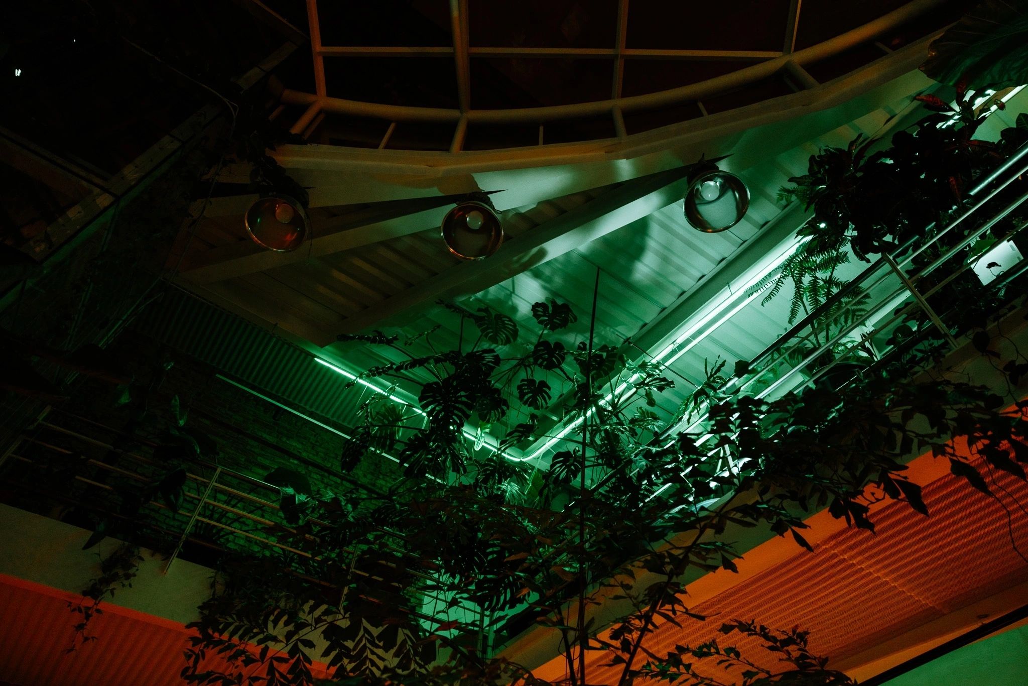 Jungle Prague atmosphere photograph 5