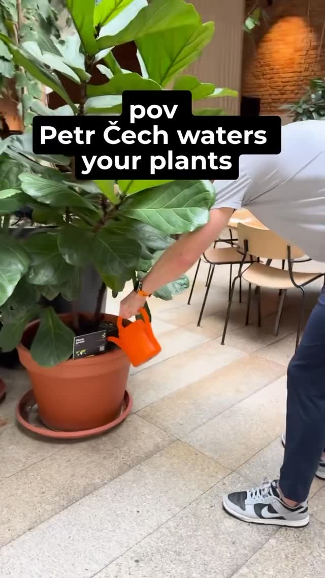 A recent scene shared by Jungle Prague