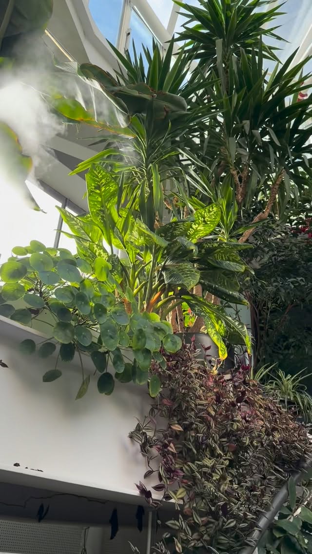 A recent scene shared by Jungle Prague